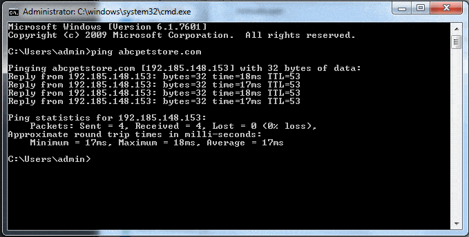 Ping Command Edited Local Hosts File